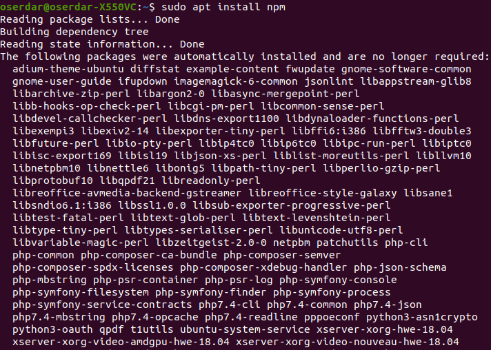 Ubuntu 20.04 npm Kurulumu